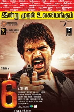 6 Candles (2013) Dubbed | Dubbed Hindi Movie HDRip [950MB]