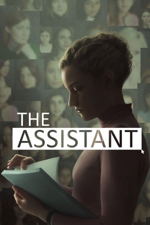 Assistant 2021 (Fan Dub) Dual Audio | Dubbed Hindi Movie WebRip [650MB]