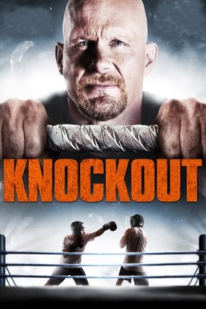 Born to Fight 2011 Dual Audio | Dubbed Hindi Movie BluRay [1.3GB]