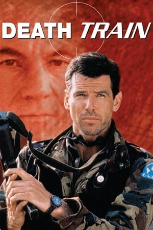 Detonator (1993) Dual Audio | Dubbed Hindi Movie HDRip 300MB