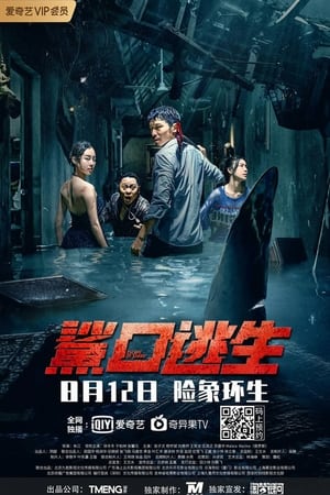 Escape of Shark (2021) Dual Audio HDRip | Dubbed Hindi Movie – 480p