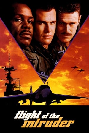 Flight Of The Intruder 1991 Dubbed | Dubbed Hindi Movie