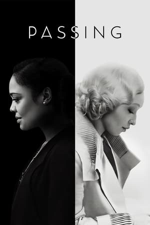 Passing 2021 Dual Audio | Dubbed Hindi Movie Web-DL 320MB