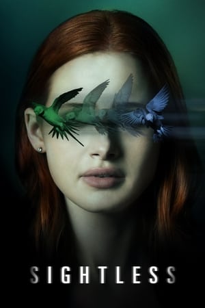 Sightless 2020 Dual Audio | Dubbed Hindi Movie Web-DL 300MB