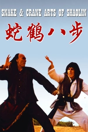 Snake and Crane Arts of Shaolin 1978 Dual Audio | Dubbed Hindi Movie BluRay [980MB]