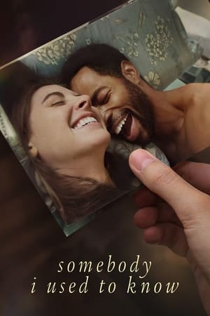 Somebody I Used to Know 2023 Dual Audio HDRip | Dubbed Hindi Movie – 480p