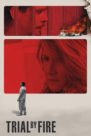 Trial by Fire 2018 Dual Audio | Dubbed Hindi Movie Web-DL 400MB
