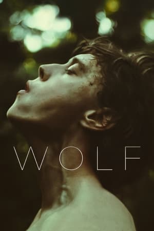 Wolf (2021) Dual Audio HDRip | Dubbed Hindi Movie – 480p
